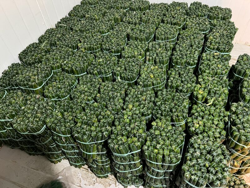 100 Chiếc Nem Dài 30k/Chục